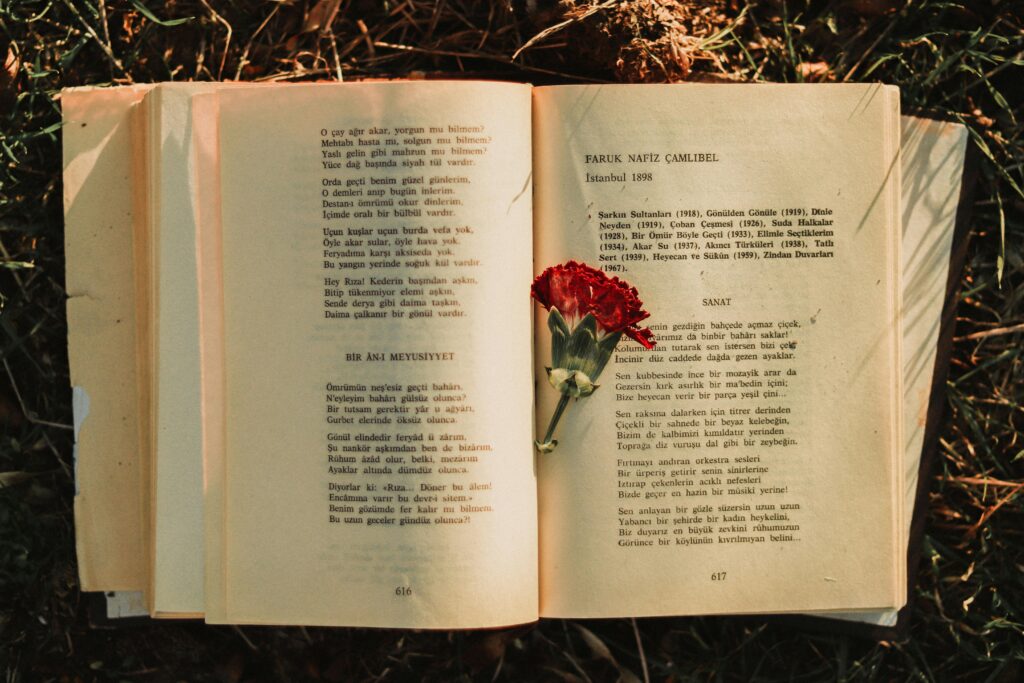 An open book with a red carnation laying on it, surrounded by grass and lit by natural sunlight.