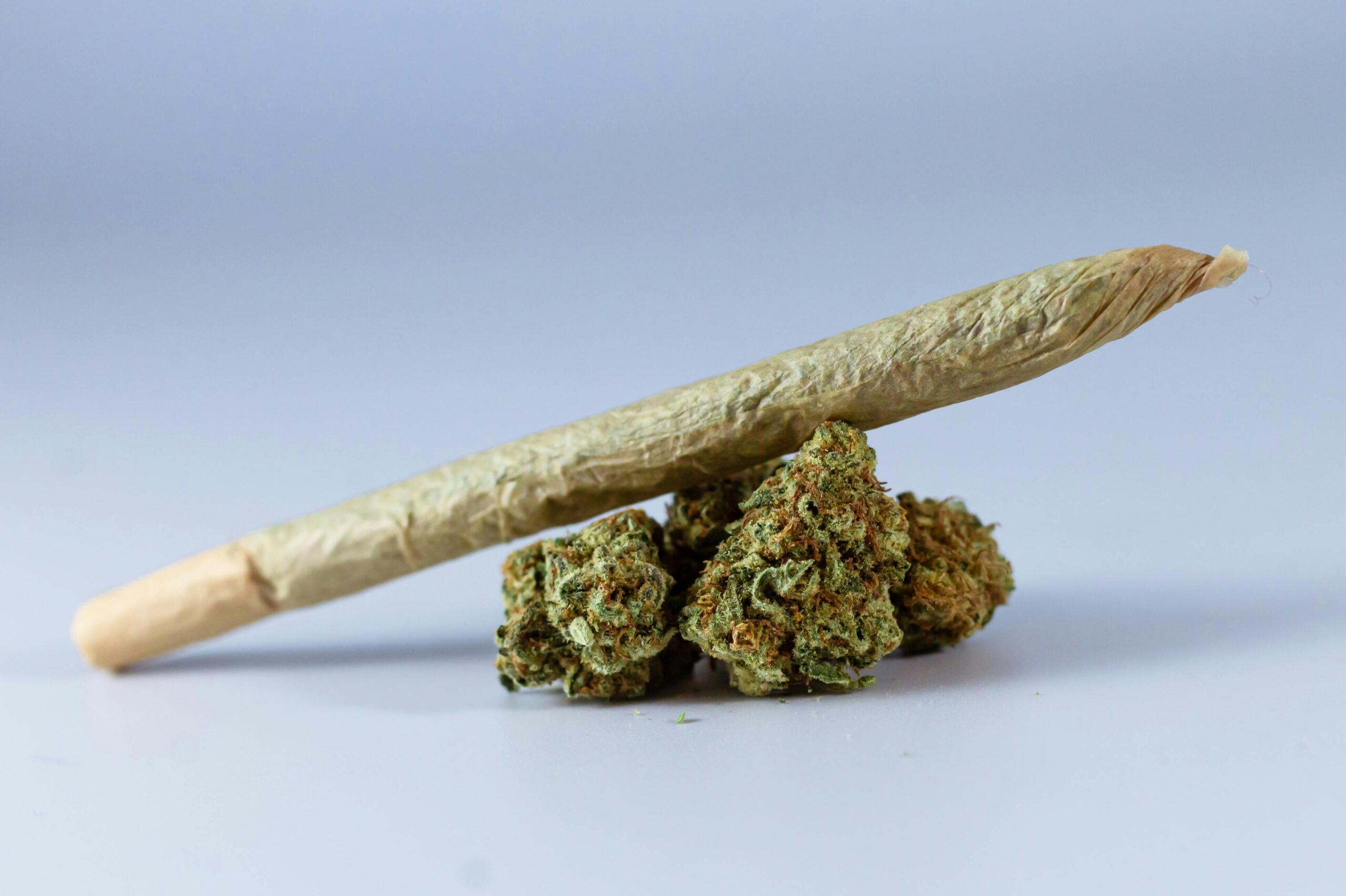 Close-up of a cannabis joint resting on marijuana buds, symbolizing relaxation.
